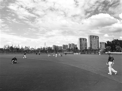 课的课程价, 球运动 课的课程价, 球运动